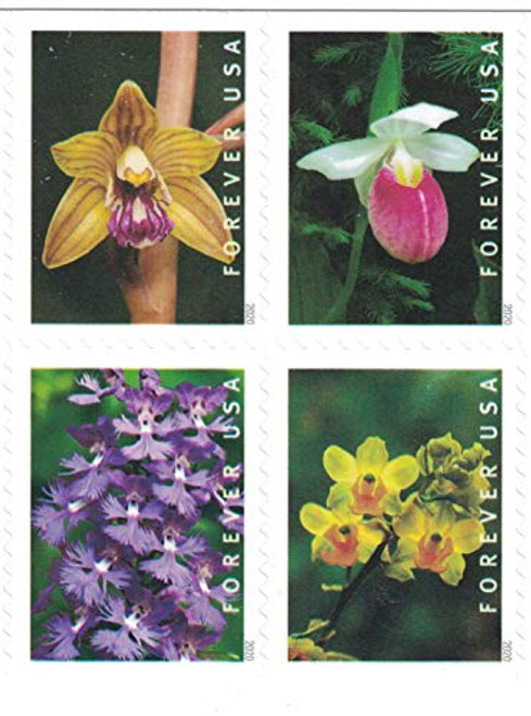 USPS Wild Orchids Forever Stamps Booklet of 20 Postage Stamps 20 Stamps USPS Wild Orchids Forever Stamps Booklet of 20 Postage Stamps 20 Stamps