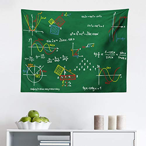 Lunarable Mathematics Classroom Tapestry Green Blackboard with Colored Formula and Sketches Geometry School Fabric Wall Hanging Decor for Bedroom Living Room Dorm 28  X 23  Emerald