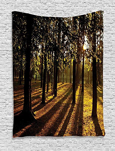 Ambesonne Farm House Decor Collection Sunbeams Lights Shine Through The Trees in Summertime Forest Countryside View Bedroom Living Room Dorm Wall Hanging Tapestry Orange Brown
