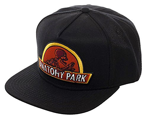 RICK AND MORTY Anatomy Park Logo Snapback Baseball Hat RICK AND MORTY Anatomy Park Logo Snapback Baseball Hat