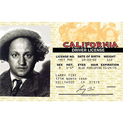 Signs 4 Fun NTIDL3 StoogesLarry s Driver s License