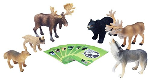 Nature Bound North America Forest Safari Animals Large Set with Collector Cards