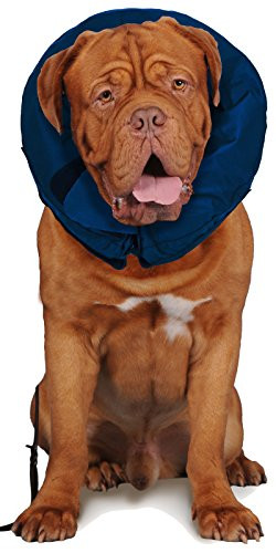 Vet Worthy Pet Soft Collars for Dogs XL