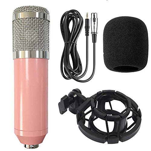 NaTursou BM900 Condenser Microphone Bundle Professional Cardioid Studio Mic Kit for Recording Podcasting Voice Over Streaming Home Studio YouTube NaTursou BM900 Condenser Microphone Bundle Professional Cardioid Studio Mic Kit for Recording Podcasting Voice Over Streaming Home Studio YouTube