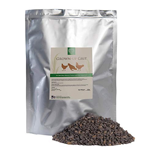 Small Pet SelectGrownUp Chicken Grit Adult Layers 10lb