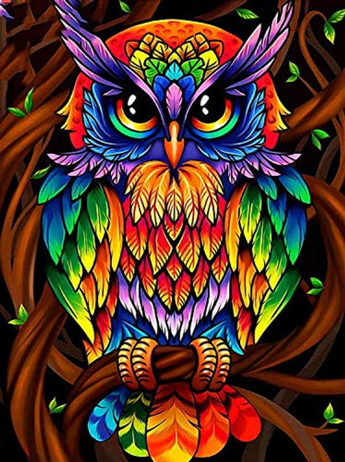 DIY Diamond Painting Kits for Adults Bird 5D Full Drill Embroidery Paintings Rhinestone Pasted DIY Painting Cross Stitch Arts Crafts for Home Wall DecorOwl12x16inch DIY Diamond Painting Kits for Adults Bird 5D Full Drill Embroidery Paintings Rhinestone Pasted DIY Painting Cross Stitch Arts Crafts for Home Wall DecorOwl12x16inch