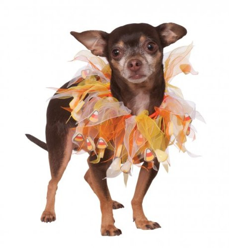 Rubie s Costume Co Fancy Candy Corn Pet Collar Small/Medium