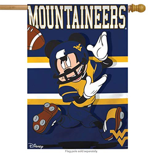 WinCraft NCAA West Virginia University Disney Vertical Flag Multicolor 28  x 40