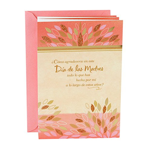 Hallmark VIDA Spanish Mothers Day Card for Mom How Can I Thank You?