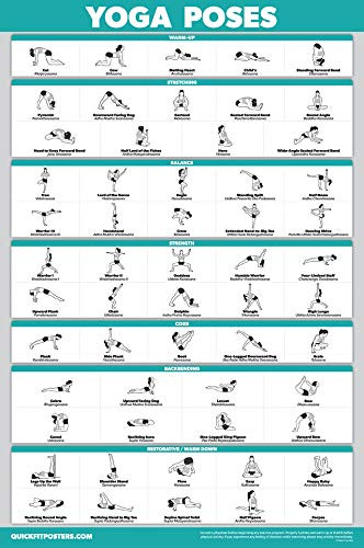 QuickFit Yoga Position Exercise Poster  Yoga Asana Poses Chart  Laminated 18  x 27