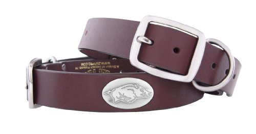 ZEPPRO Brown Leather Concho Pet Collar Arkansas Razorbacks Large