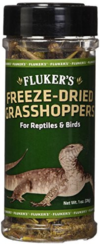 Fluker s 72018 Freeze Dried Grasshoppers Reptile Food  1 oz