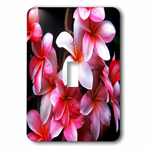 3dRose lsp 62165 1 Hawaiian Fuchsia Colored Plumeria Flowers Single Toggle Switch