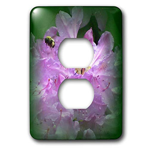 3dRose LLC lsp 23210 6 Bumble Bee On Purple Rhododendron Flowers 2 Plug Outlet Cover