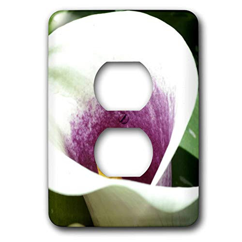 3dRose LLC lsp 23569 6 White And Purple Calla Lily 2 Plug Outlet Cover