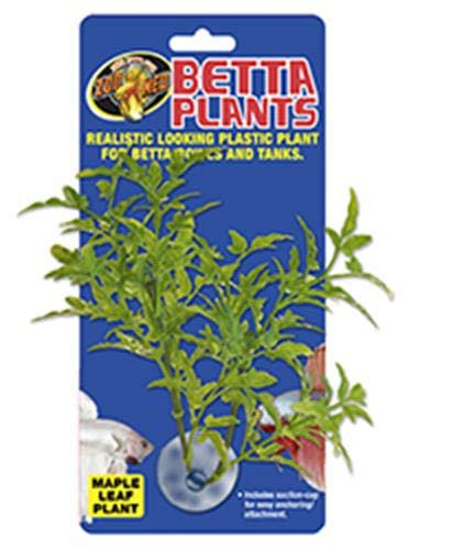 Zoo Med Laboratories AZMBP24 Betta Plant Maple Leaf