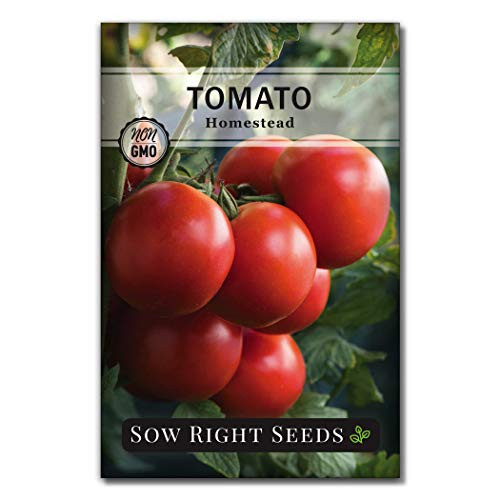 Sow Right Seeds   Homestead Tomato Seed for Planting   Non GMO Heirloom Packet with Instructions to Plant a Home Vegetable Garden   Great Gardening Gift  1