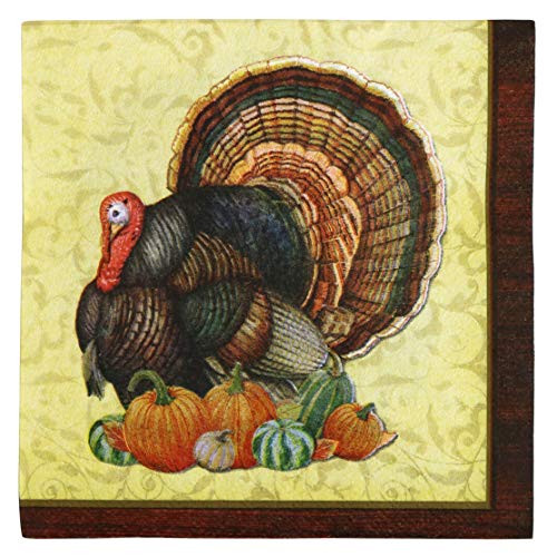 Paper Disposable Party Napkins  Beverage Size  Harvest Turkey  80 Count