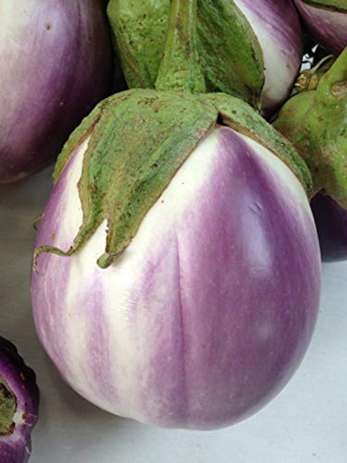 Rosa Bianica Eggplant Seeds  100  Premium Heirloom Seeds  Fantastic Addition to Home Garden   Isla s Garden Seeds   Non GMO  90 Germination Rates  Highest Quality  100 Pure