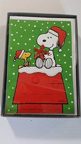 Snoopy and Woodstock on Doghouse with present in hand