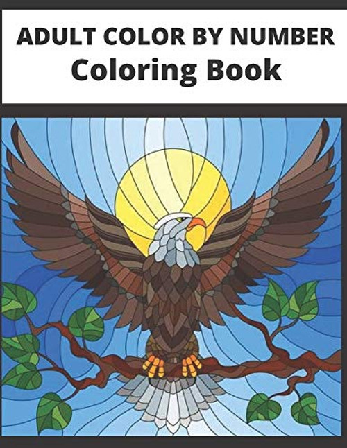 Adult color by number Coloring Book  Adult Color By Number Coloring Book  Large Print Birds  Flowers  Animals and Pretty Patterns