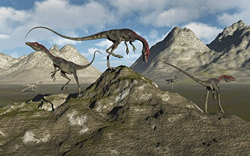 Posterazzi Poster Print Collection a Pack of Carnivorous Compsognathus Dinosaurs Mark Stevenson/Stocktrek Images, (18 x 11), Multicolored