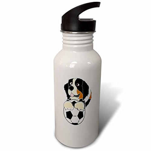 3dRose wb_255779_2 Funny Cute Bernese Mountain Dog Playing Soccer Straw Water Bottle 3dRose wb_255779_2 Funny Cute Bernese Mountain Dog Playing Soccer Straw Water Bottle