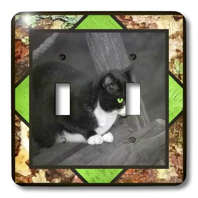 3dRose LLC lsp 13257 2 Barnyard Cat Double Toggle Switch