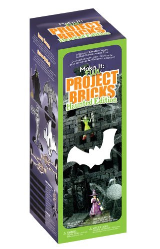 FloraCraft Styrofoam Kits, Haunted Project Bricks Black