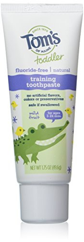Tom s Of Maine Natural Toddler Training Fluoride Free Toothpaste Mild Fruit  1 75 Ounce