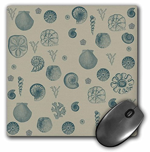 3D Rose"Blue Shells Beach Theme Art" Matte Finish Mouse Pad - 8 x 8" - mp_179075_1 3D Rose"Blue Shells Beach Theme Art" Matte Finish Mouse Pad - 8 x 8" - mp_179075_1