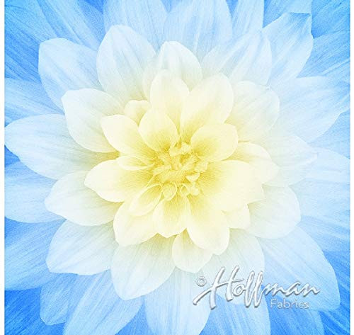 Dream Big - Digital Panel -Large Floral -French Blue - by Hoffman Fabrics