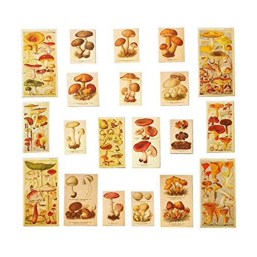 Scrapbook Stickers  Doraking 60PCS DIY Decoration Vintage Plants Flowers Mushroom Washi Stickers for Scrapbook Decoration Notebooks Planners  Mushroom Illustrated Handbook
