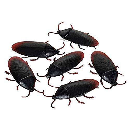 Kicko Cockroach   Fake Cockroaches  Prank Toy 12 Pack   Party Favor  Party Bag Stuffer  Novelty Toys