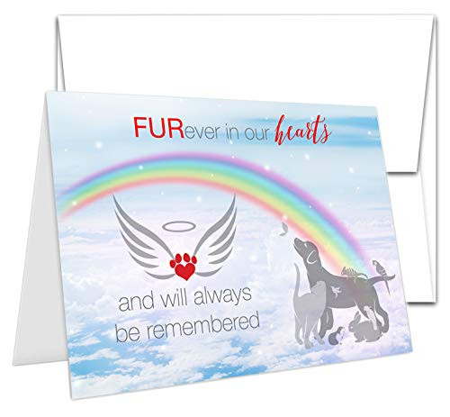 TLC Safety By Design Pet Sympathy Card Rainbow Bridge Bereavement Condolence for Dog  Cat  Rabbit 5x7 card and envelope with Free Emergency Contact Call List Card  1 Card   Envelope