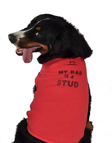 Ruff Ruff and Meow Dog Tank Top  My Dad is a Stud  Red  Large