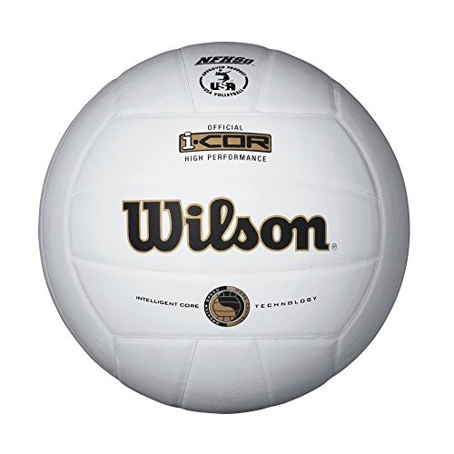 Wilson I-COR High Performance Indoor Volleyball