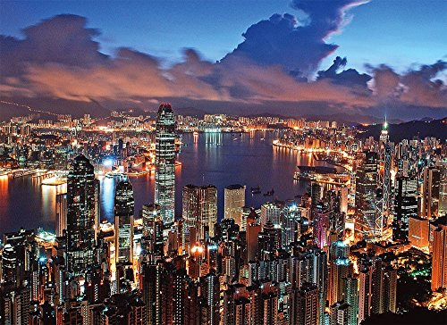 Tomax Hong Kong Night Scene 500 Piece Glow-in-the-dark Jigsaw Puzzle