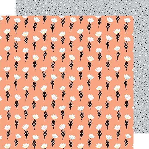 Amy Tan 348238 Ambitious Paper, Multi