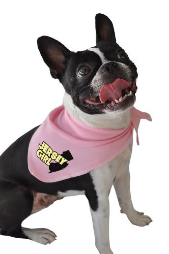 Ruff Ruff and Meow Dog Tank Top  Happy Camper  Green  Medium