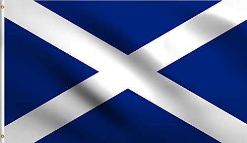 DMSE Saltire Saint Andrew s Cross Crux Decussata Scotland Scottish Flag 2X3 Ft Foot 100 Polyester 100D Flag UV Resistant  2  X 3  Ft Foot