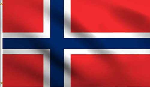DMSE Norway Norwegian Scandinavian Cross Flag 3X5 Ft Foot 100 Polyester 100D Flag UV Resistant  3  X 5  Ft Foot