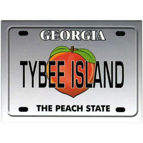 Tybee Island Georgia License Plate Fridge Collector s Souvenir Magnet 2 5  X 3 5