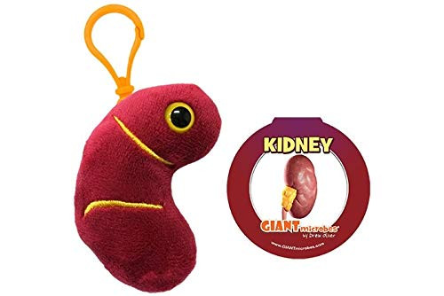 GIANTmicrobes Kidney Key Chain