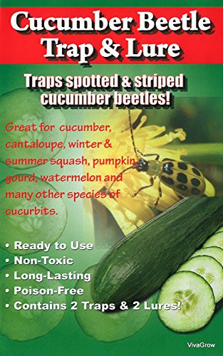 VivaTrap! Cucumber Beetle Trap with Multi Pheromone Lure (2 Pack)