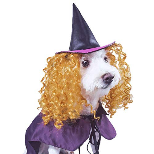 MEWTOGO Halloween Witch Doggie Costume  Funny and Adorable Pet Dog Halloween Cosplay Outfit with Witch Hat for Puppies Pet Dog  Purple