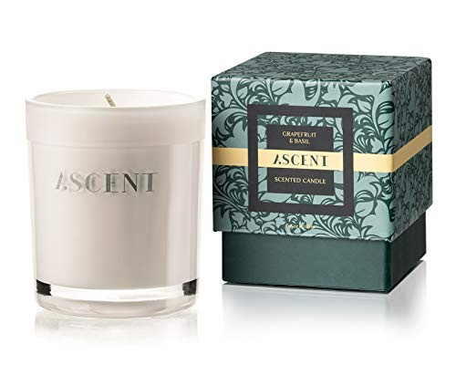 Luxury Scented Candles Soy Wax   Aromatherapy Candles for Home   Non Toxic Candles Gifts for Women   Men   Natural Soy Candles Scented Grapefruit   Basil   42 Hrs Long Lasting Candles in Glass 5oz