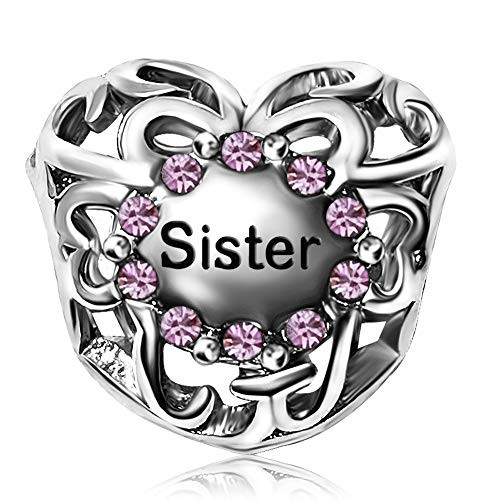 JMQJewelry Heart Sister Birthstone Birthday June Purple Charms for Bracelets Wife Mom Gifts JMQJewelry Heart Sister Birthstone Birthday June Purple Charms for Bracelets Wife Mom Gifts