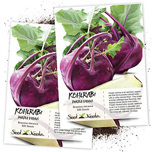 200 Seeds Kohlrabi Purple Vienna Brassica oleracea Seeds By Seed Needs 200 Seeds Kohlrabi Purple Vienna Brassica oleracea Seeds By Seed Needs