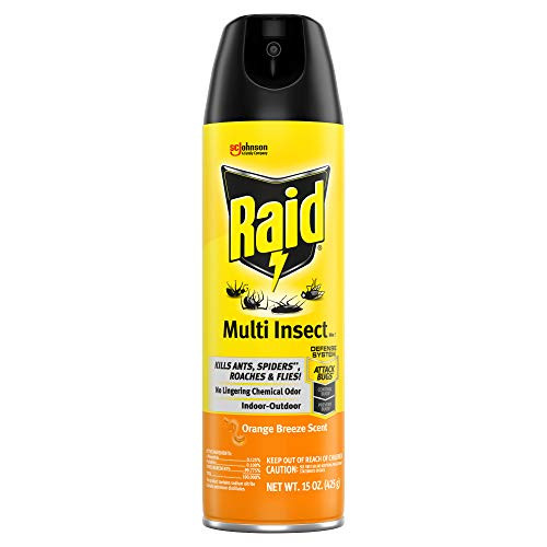 Raid Multi Insect Killer  Kills Ants  Spiders  Roaches and Flies  For Indoor and Outdoor use  Orange Breeze  15 Oz